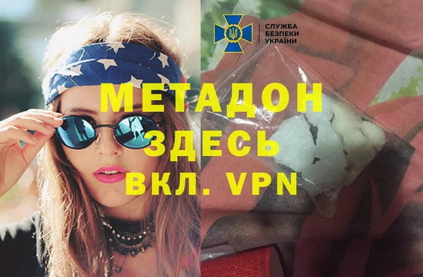 прущие грибы Алексеевка