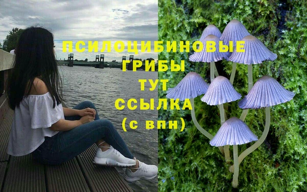 дмт Алексин