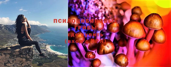 ешки Алзамай
