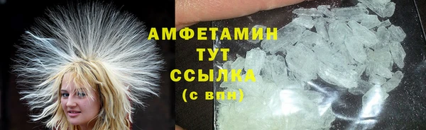 прущие грибы Алексеевка