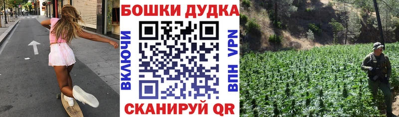 Бошки Шишки SATIVA & INDICA гидра зеркало Находка